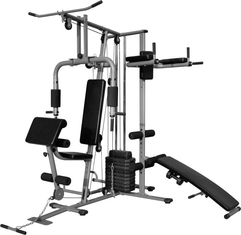 vidaXL Multifunktionellt Hemmagym 65kg