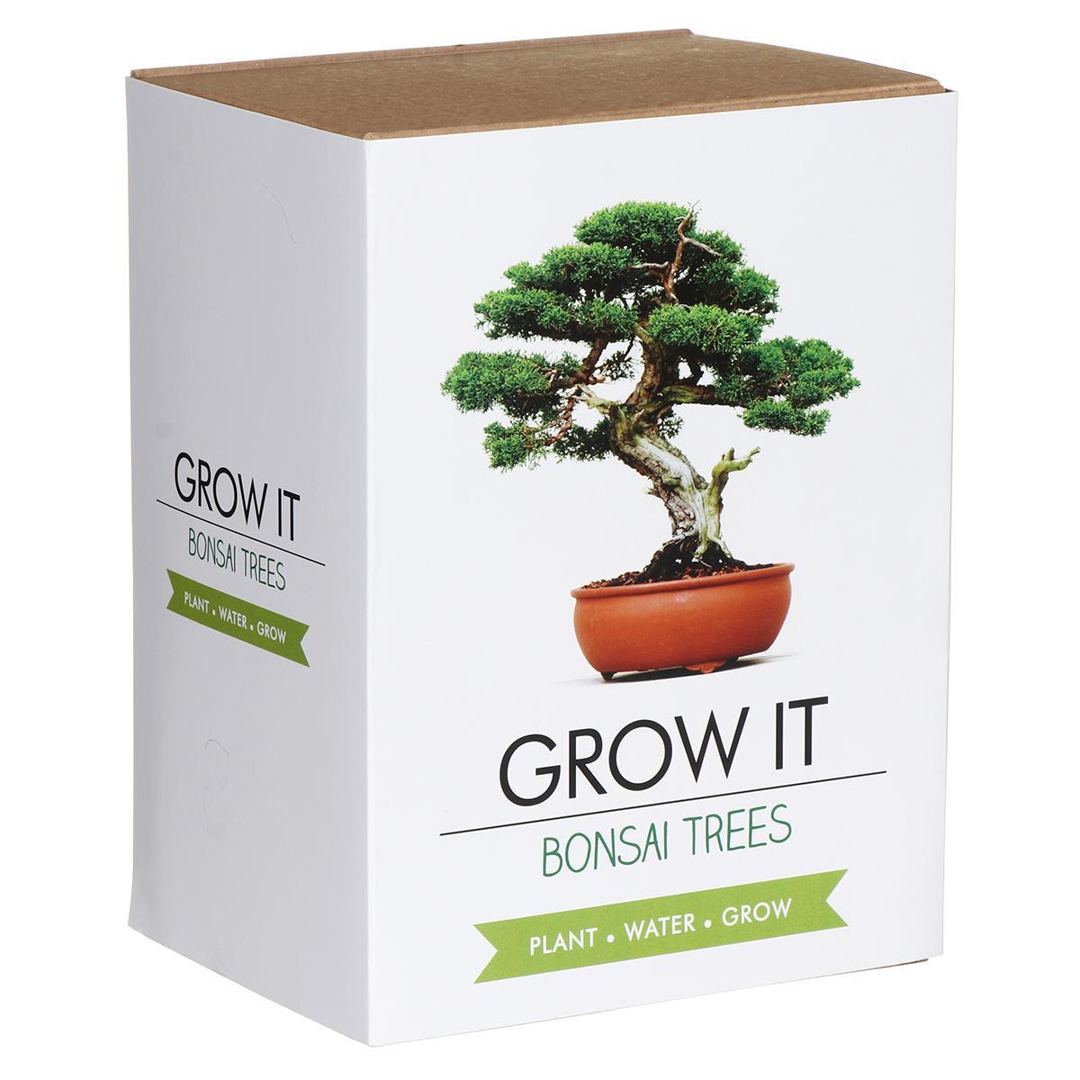 Gift Republic Grow It Kit Bonsai Trees